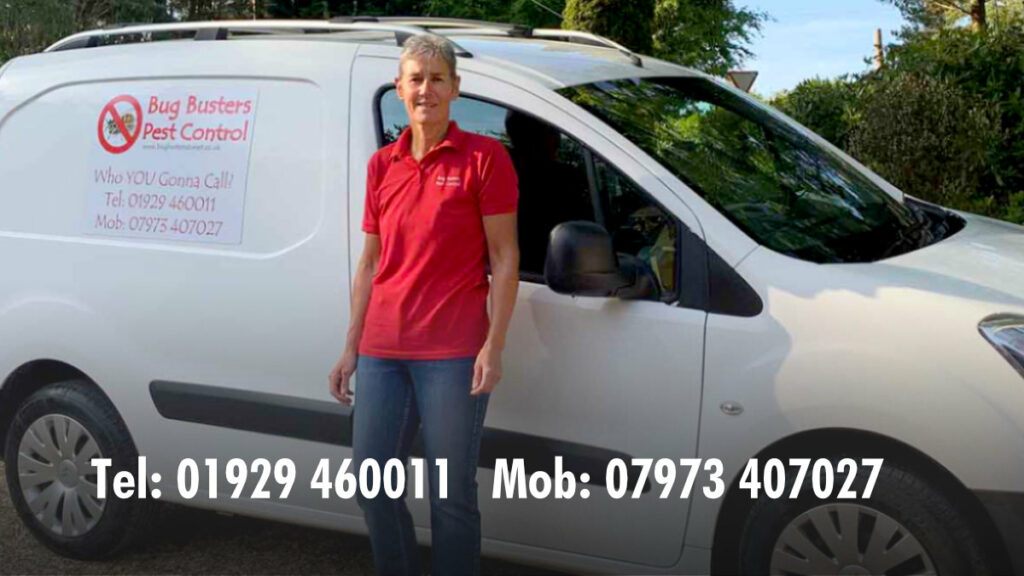 Services BUG BUSTERS PEST CONTROL