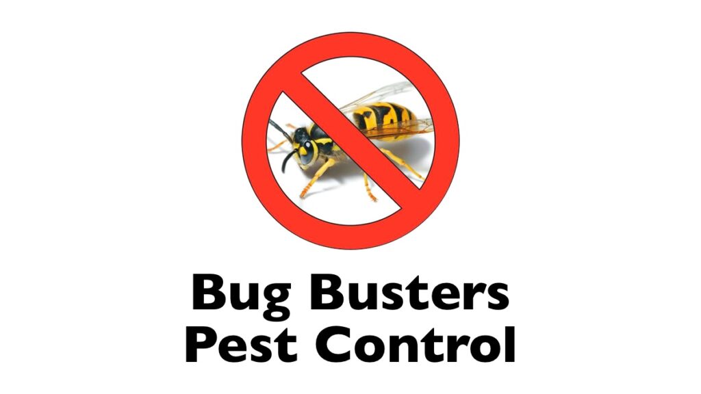 Bug Busters Dorset Professional Pest Control Services